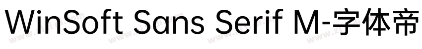 WinSoft Sans Serif M字体转换